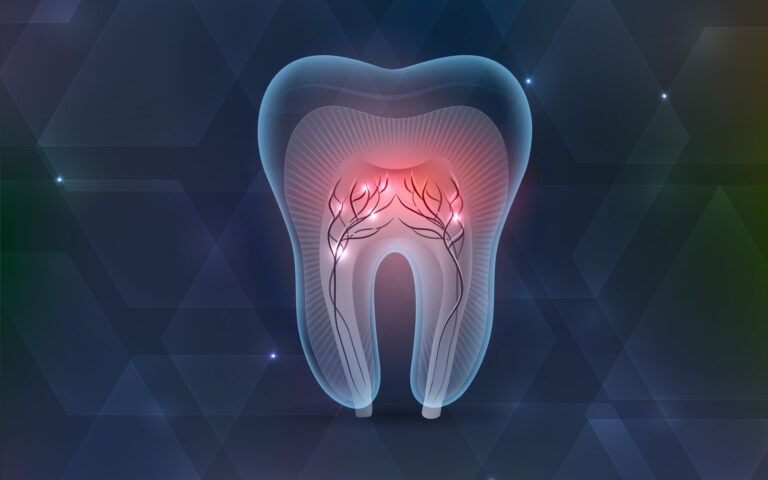 Digital Inner Tooth Vector Image