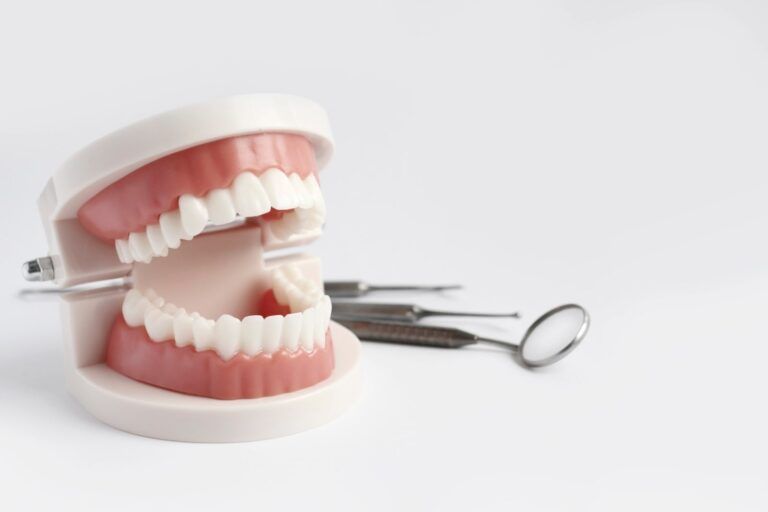 Dental Mouth Model with Tools